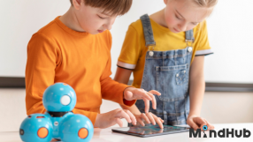 How does programming support the development of social skills?